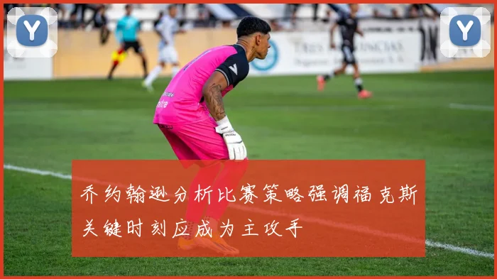 乔约翰逊分析比赛策略强调福克斯关键时刻应成为主攻手