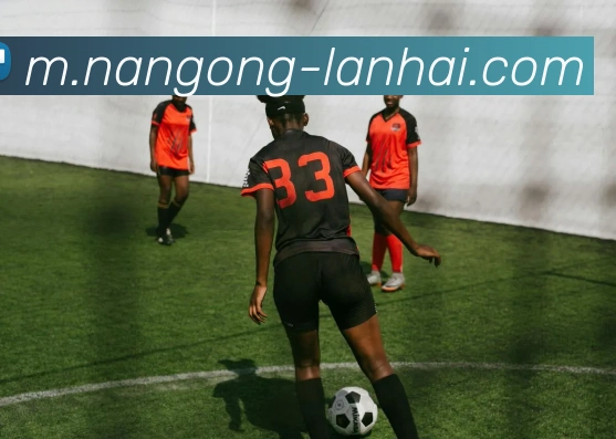 奖项图3